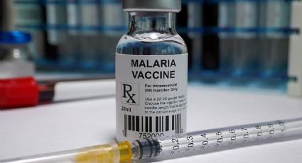 Un gran avance: la OMS aprobó por primera vez la vacuna contra la malaria
