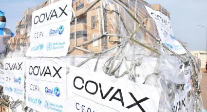 Vacunas para países en vía de desarrollo: Covax consiguió nuevos fondos