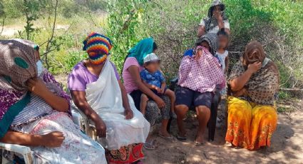 La CIDH confirmó falsa noticia: las mujeres que tenían sus hijos en los montes en Formosa