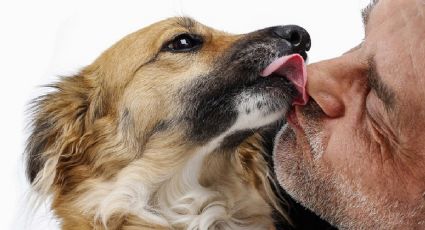 La sorprendente razón por la que nuestros perros nos lamen el rostro
