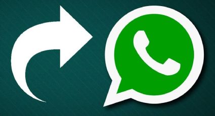 WhatsApp: cómo hacer para que no aparezca el "reenviado"
