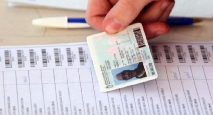 Paso 2021: personas con DNI no binario pudieron acceder a las elecciones