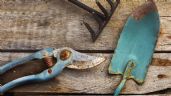 Quitar manchas de óxido de las herramientas del jardín: los mejores productos y consejos
