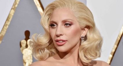 Después de ofrecer una recompensa millonaria, Lady Gaga recuperó sus perros