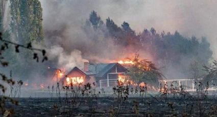 La preocupación de estos famosos por un incendio en La Patagonia