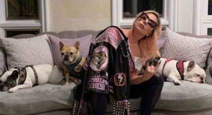Lady Gaga: atraparon a los cinco captores de sus perros
