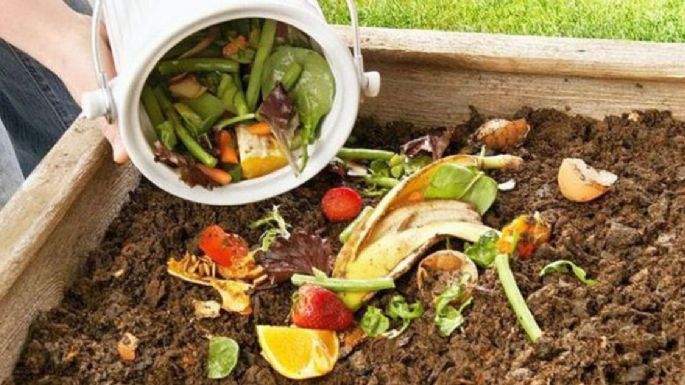 Guía práctica para elaborar tu propio compost