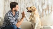 Mascotas: los mejores trucos para evitar el mal olor dentro del hogar