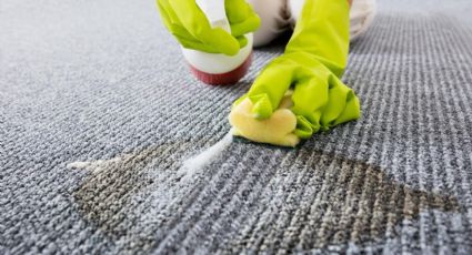 Cómo limpiar manchas de alfombras: una guía con el procedimiento para un resultado efectivo