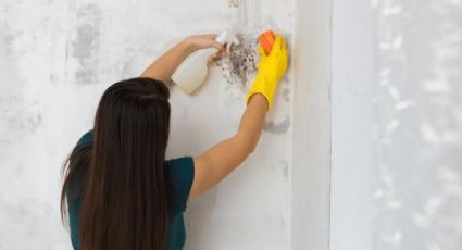 Cómo deshacerse de la humedad en el hogar: 5 consejos caseros y fáciles