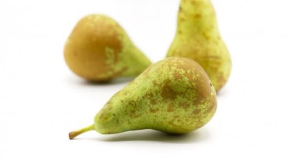 Alimentos: reconocé los distintos tipos de pera que existen