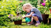 Jardinería: plantas ideales para que cuiden tus hijos