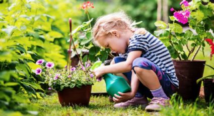 Jardinería: plantas ideales para que cuiden tus hijos