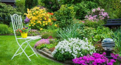 Jardinería: cómo mantener tu césped impecable