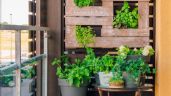 5 ideas para crear un jardín vertical en tu balcón