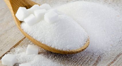 4 opciones para sustitur el azúcar