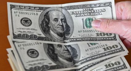 Ahorro e inversión en monedas extranjeras: ¿conviene tener dólares en Argentina?