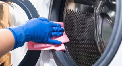 Cómo limpiar la goma del lavarropas con un solo producto sin gastar plata en 10 minutos