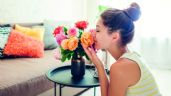 5 remedios caseros para eliminar olores desagradables: un hogar fresco y aromático