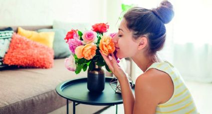 5 remedios caseros para eliminar olores desagradables: un hogar fresco y aromático