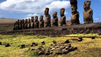 Más Allá de los Horizontes: Desvelando los Secretos Sensoriales de Rapa Nui